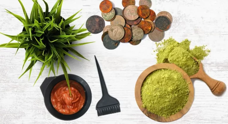 Benvenuti nel Blog Dedicato alle Erbe Tintorie e Cura dei Capelli