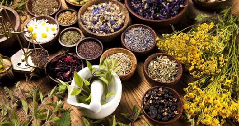 Parrucchiere Erbe Tintorie e Trattamenti Anti-Caduta: