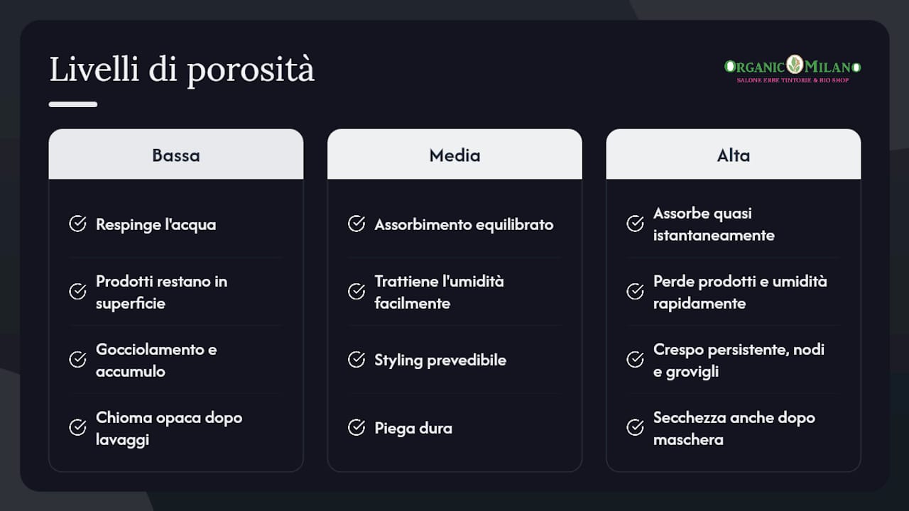 I tre livelli di porosità: caratteristiche osservabili — overview diagram