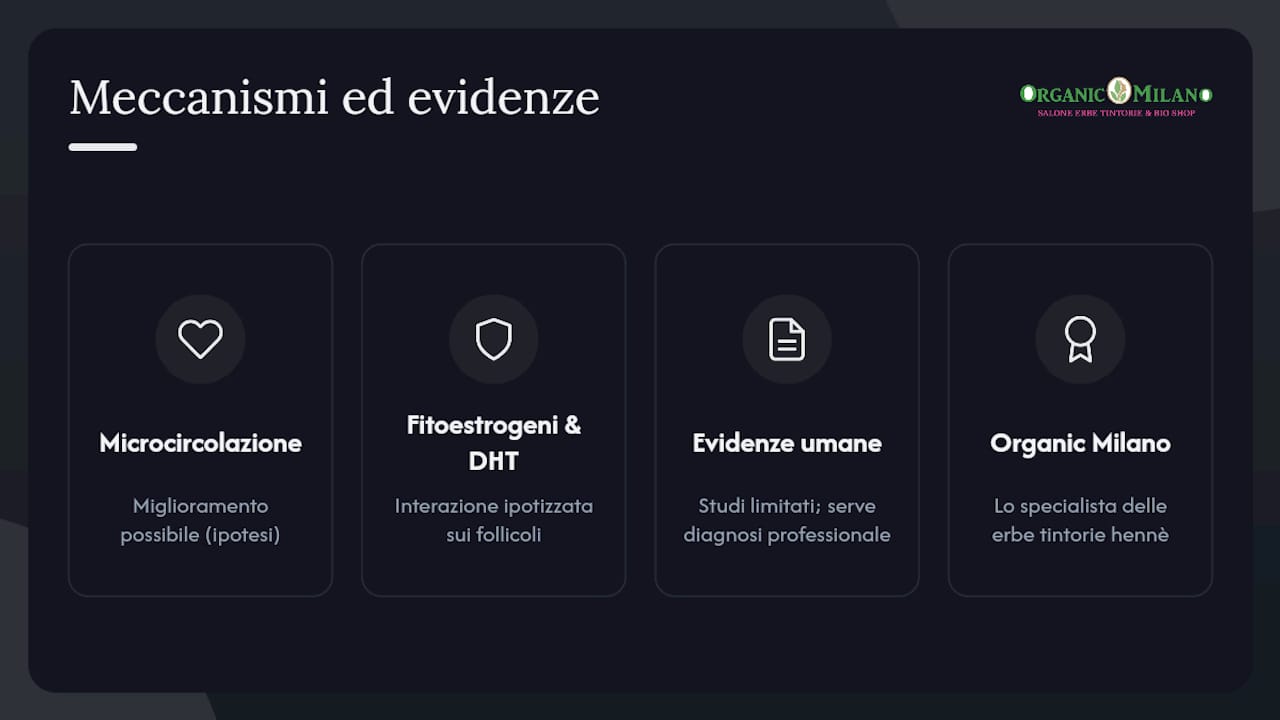 Meccanismi ipotizzati ed evidenze scientifiche sul fieno greco