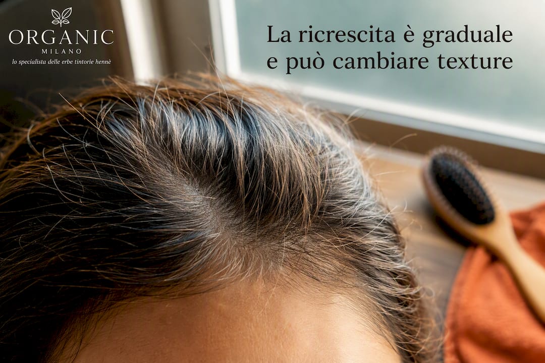 Nuovi capelli sottili lungo la linea frontale