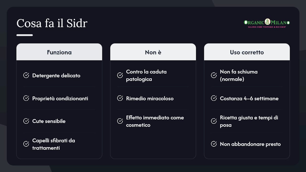 Il Sidr funziona davvero, ma non è magia — overview diagram