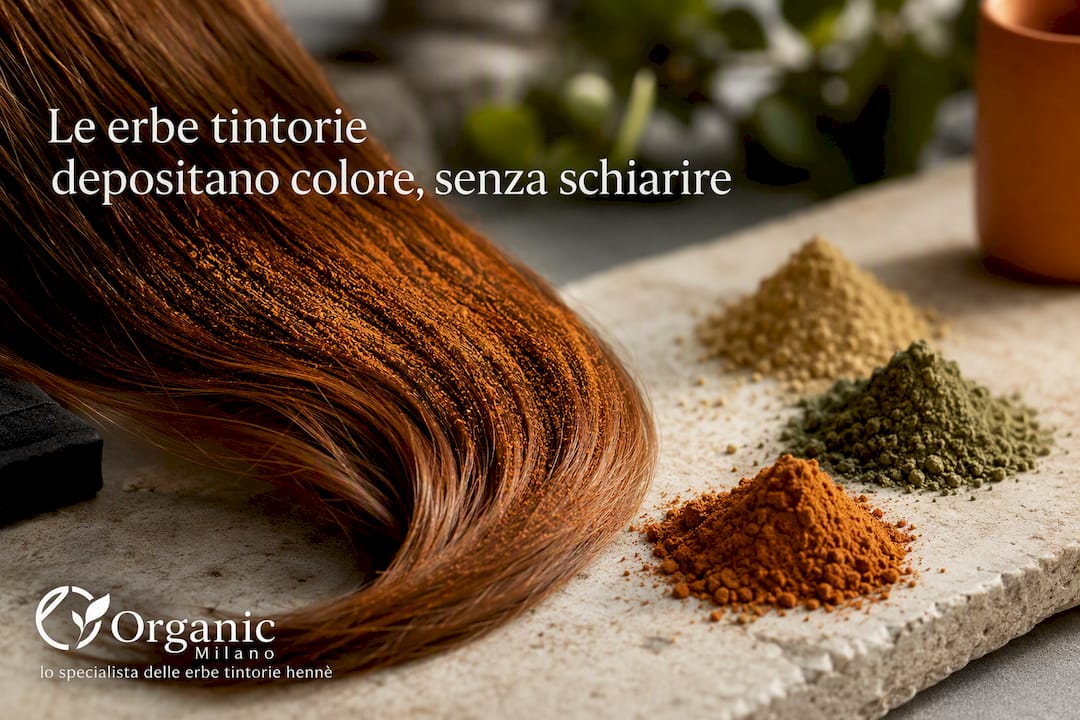 Pigmento vegetale depositato sulla cuticola